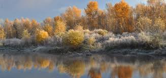 The French “débat public”: A Model for European Environmental Democracy?, by Alberto&nbsp;Nicotina