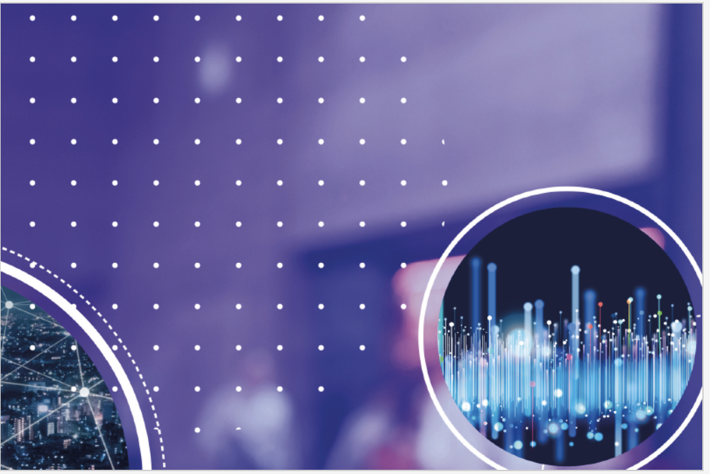 Supervision of Artificial Intelligence in the EU and the Protection of Privacy, by J Chamberlain and J Reichel