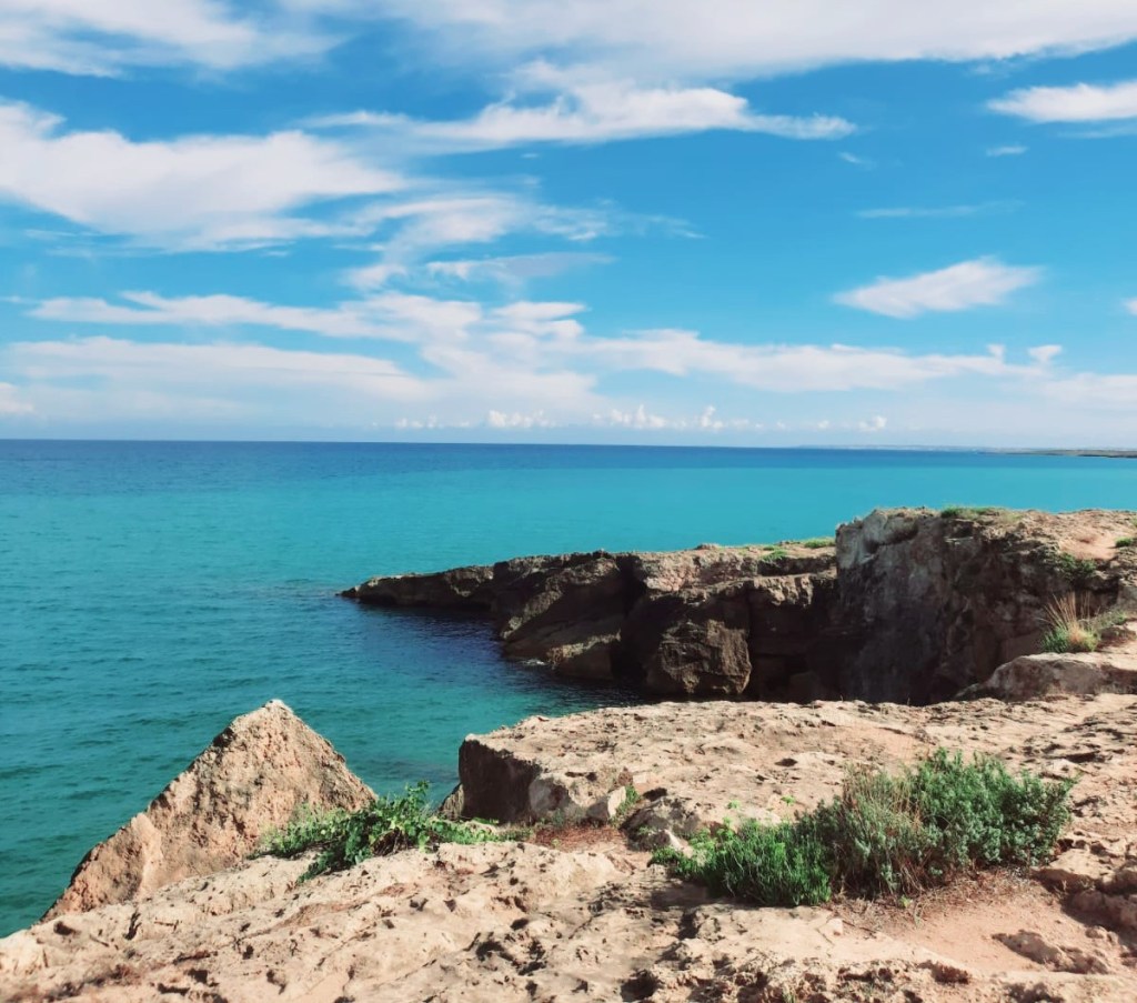 The requirement of “scarcity of natural resources” pursuant to Article 12 of Bolkestein Directive in the recent AGCM v. Comune di Ginosa Case: some critical reflections, by C.&nbsp;Burelli