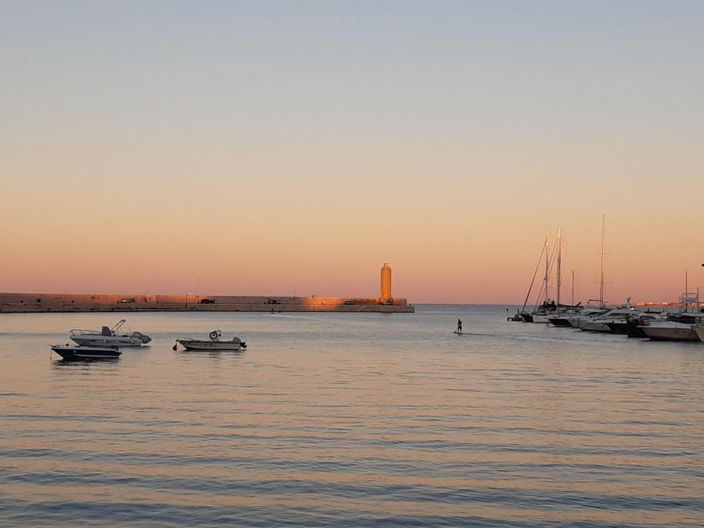 Direct effect and EU primacy in the state-owned maritime concessions area, by Francesco&nbsp;Liguori