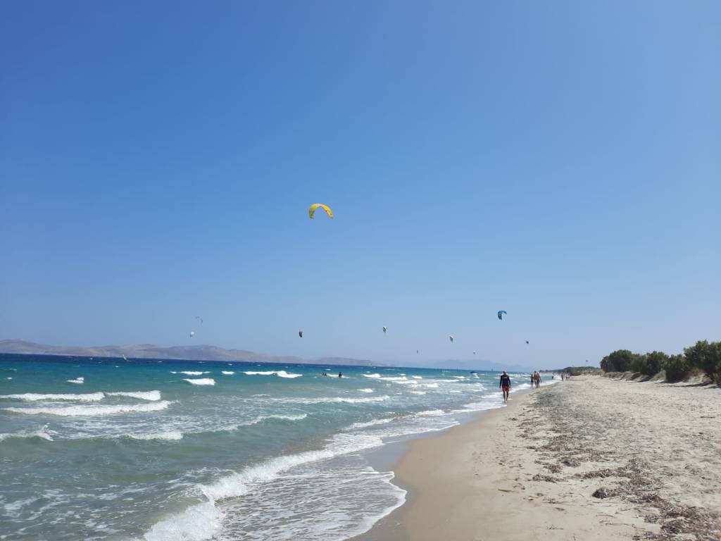 The obligations for administrative authorities in light of the relationship between national and EU law, by Angela&nbsp;Cossiri