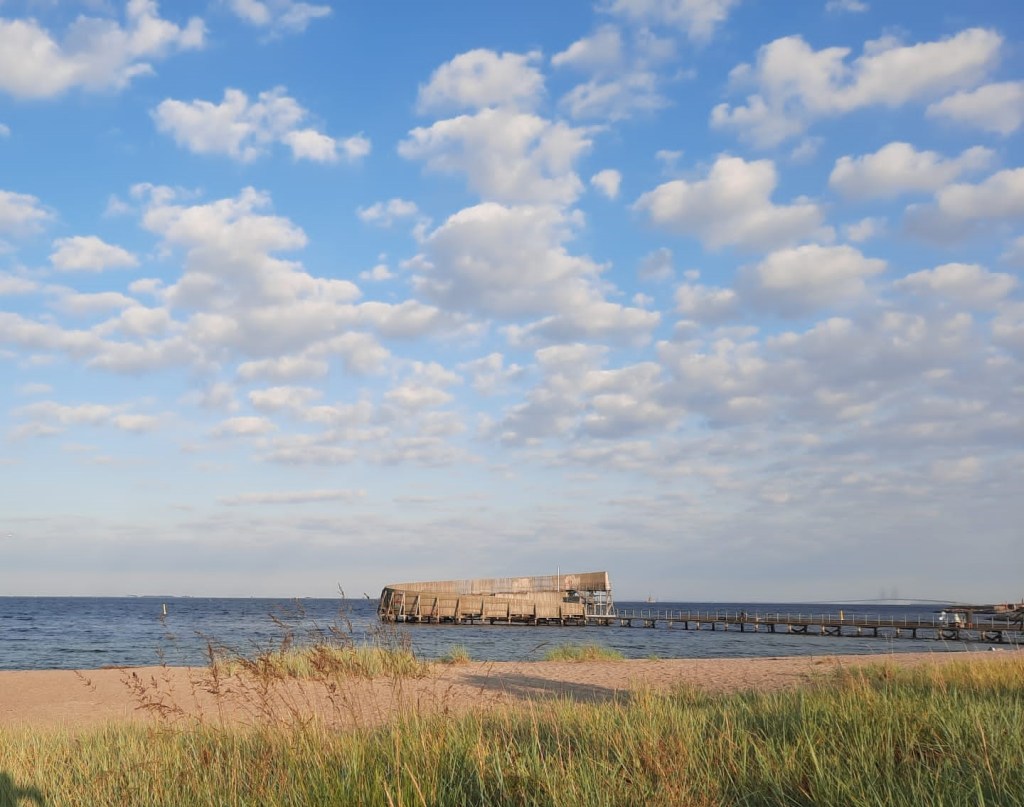 EU ‘intermediate’ acts in the context of composite procedures before the Italian administrative courts, by Andrea&nbsp;Circolo