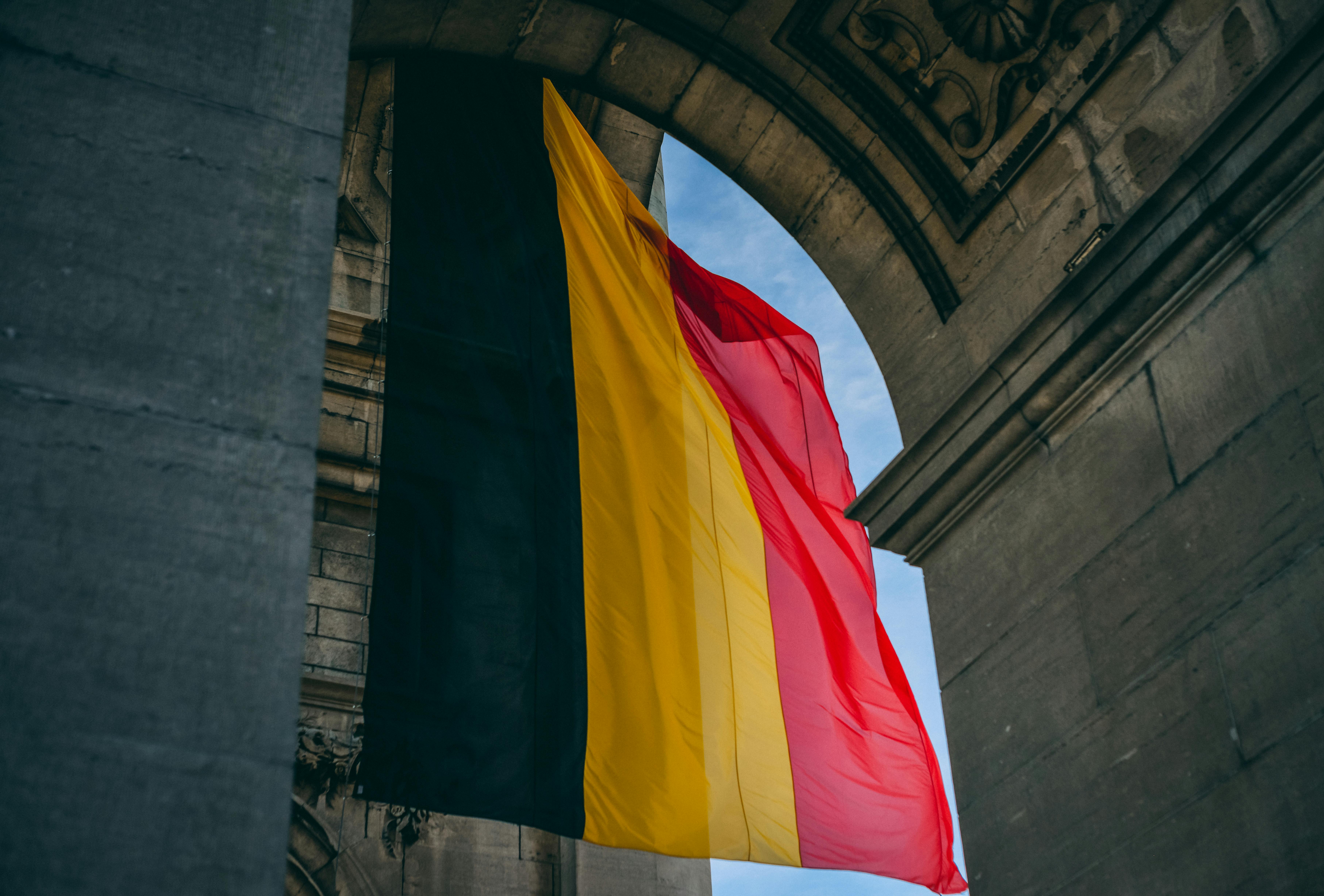 Codification of Belgian Administrative Law: ‘Nothing is Written’*, by S. De Somer and I. Opdebeek