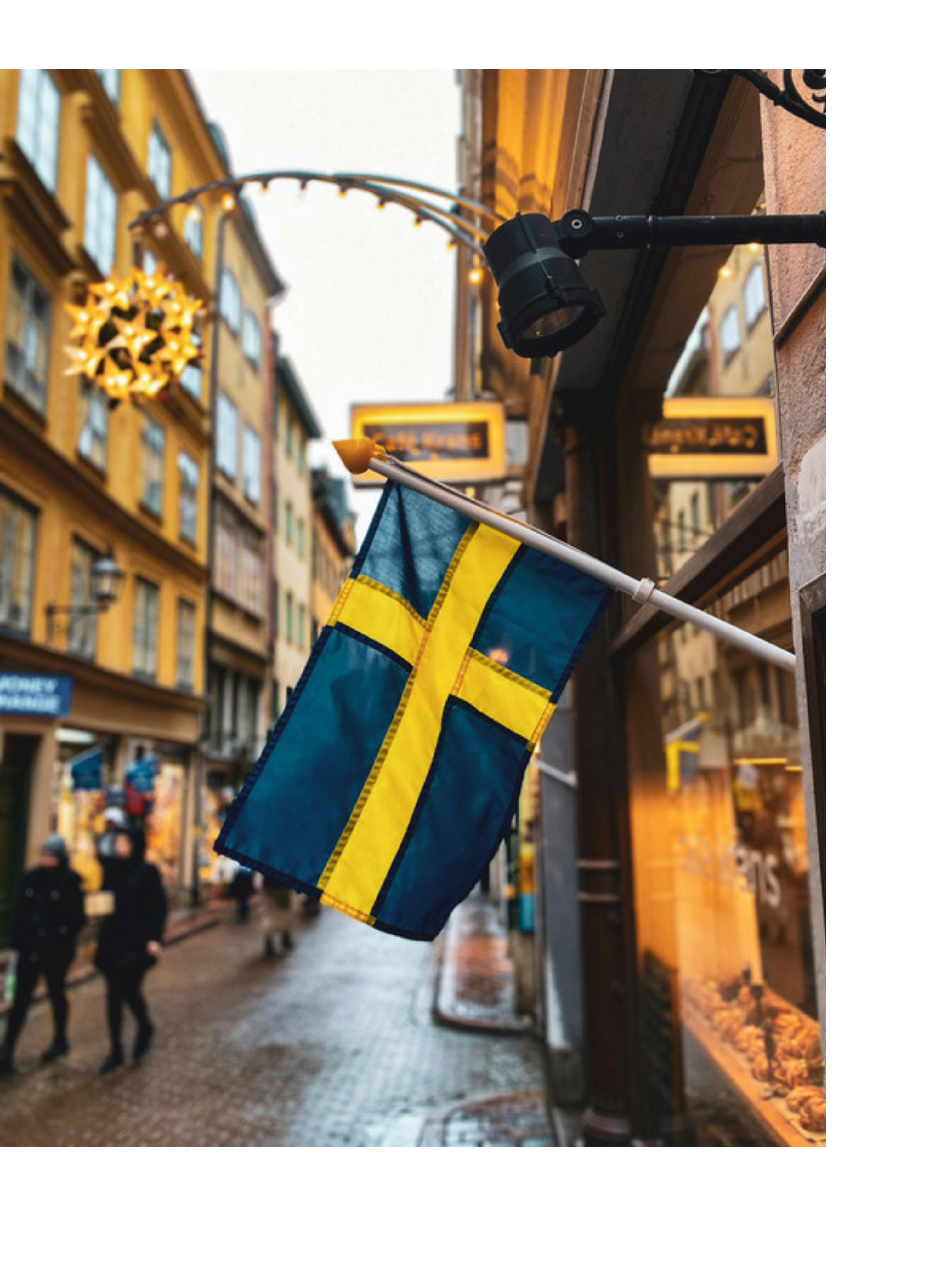 Codification of Administrative Law – Sweden, by Jane Reichel and Michaela Ribbing