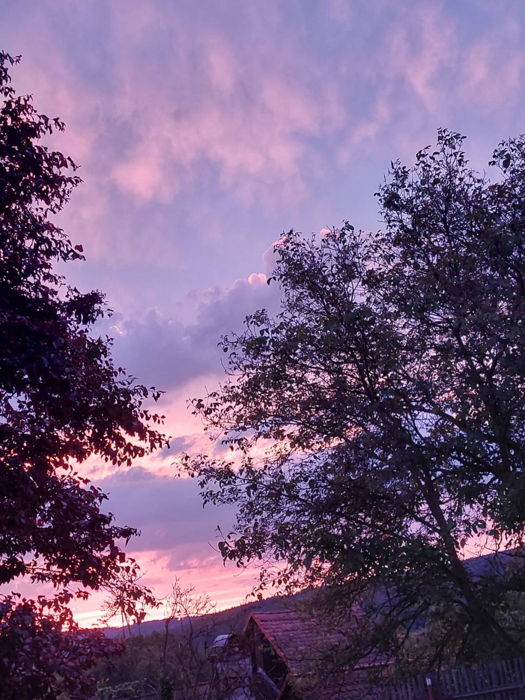 REALaw.blog Newsletter 2024