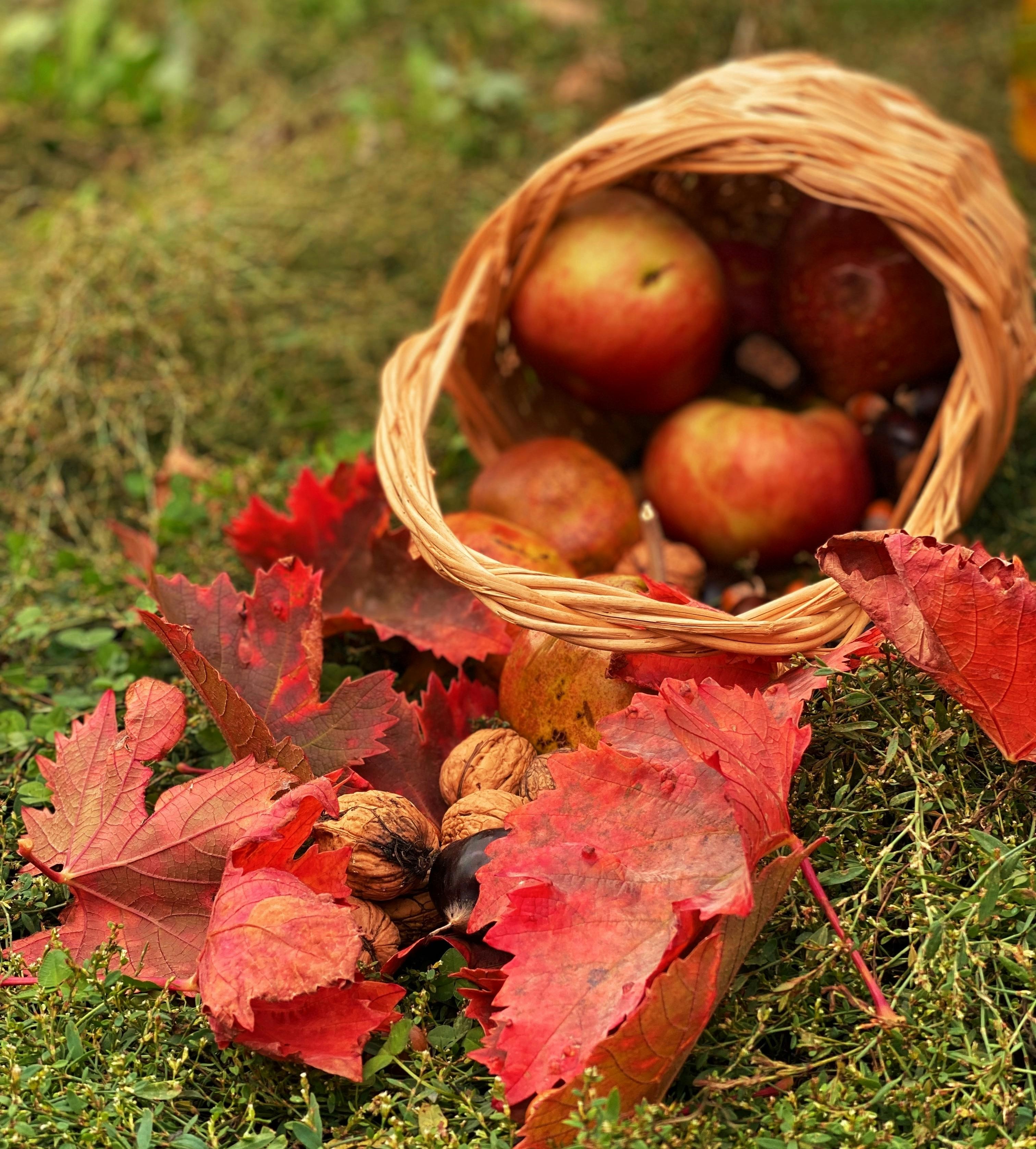 One step closer after KS and KD: EU accession to the ECHR, by Jasper Krommendijk