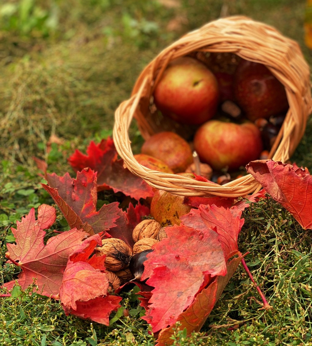 One step closer after KS and KD: EU accession to the ECHR, by Jasper&nbsp;Krommendijk