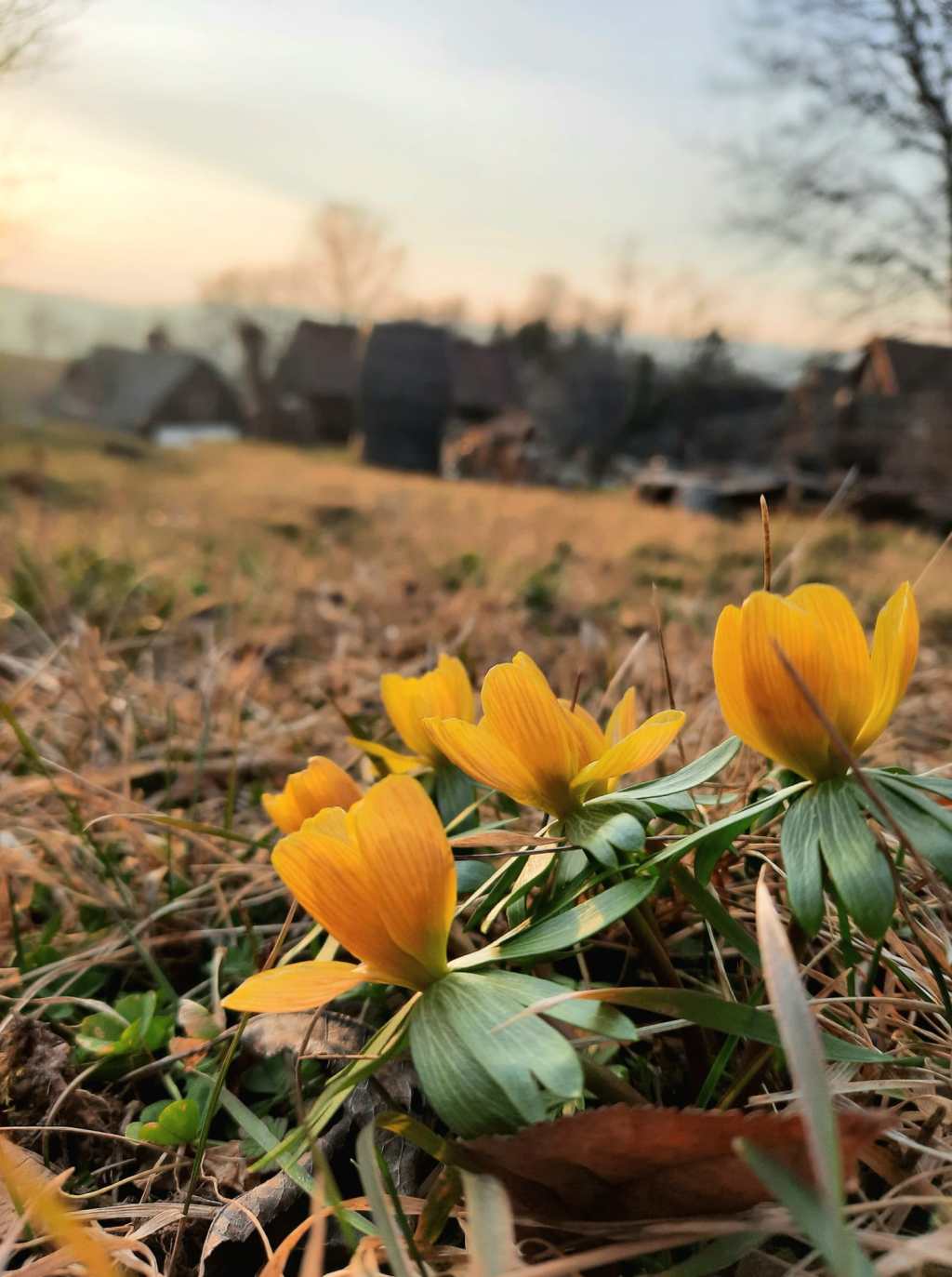 On the “soft law” concept, by Álvaro Núñez&nbsp;Vaquero