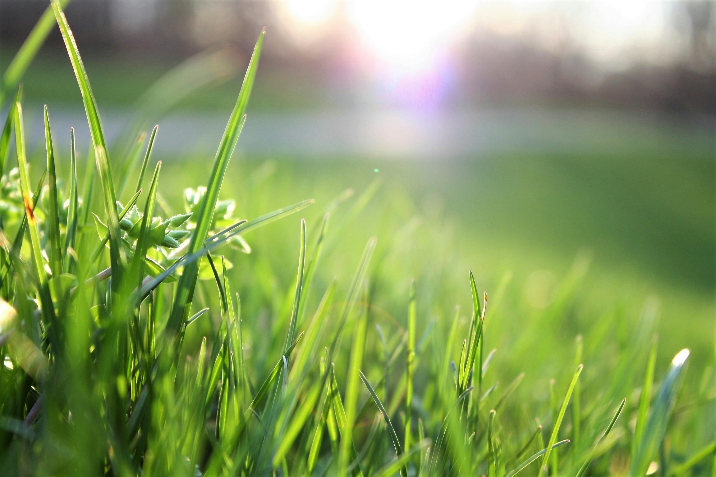 Administrative cooperation in the field of EU environmental policy, by Rui Tavares Lanceiro